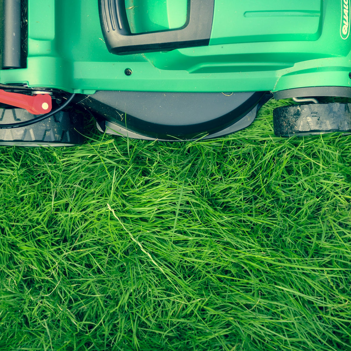 Lawn Care