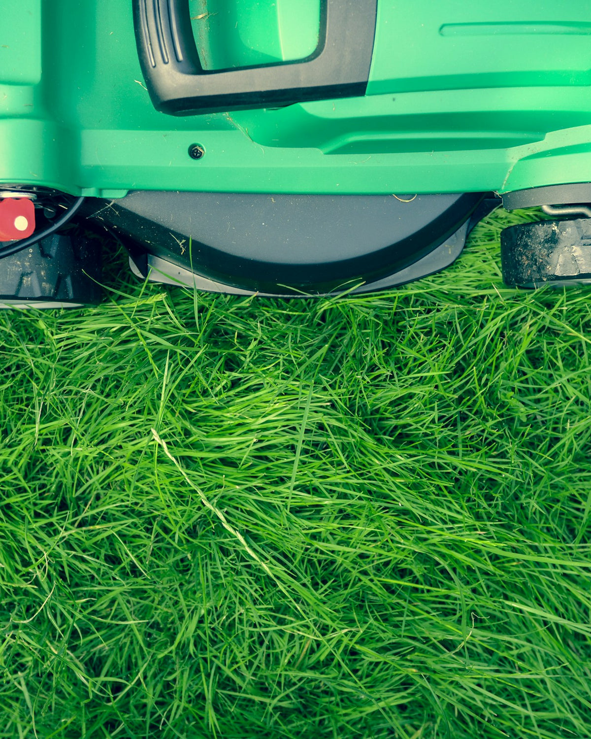 Lawn Care
