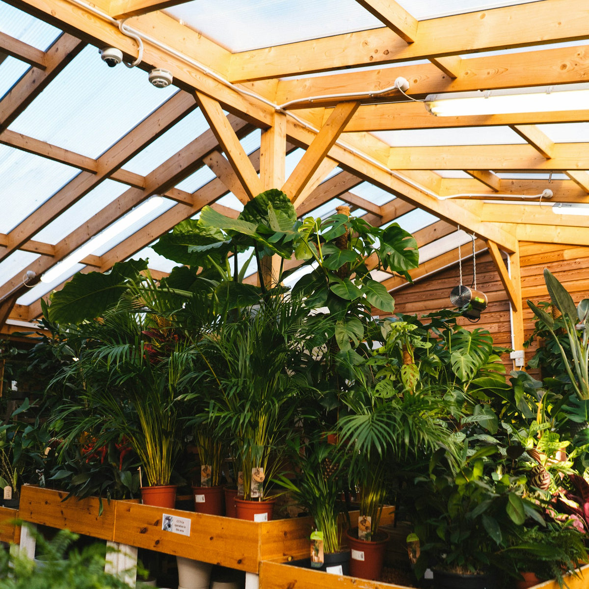 Greenhouses