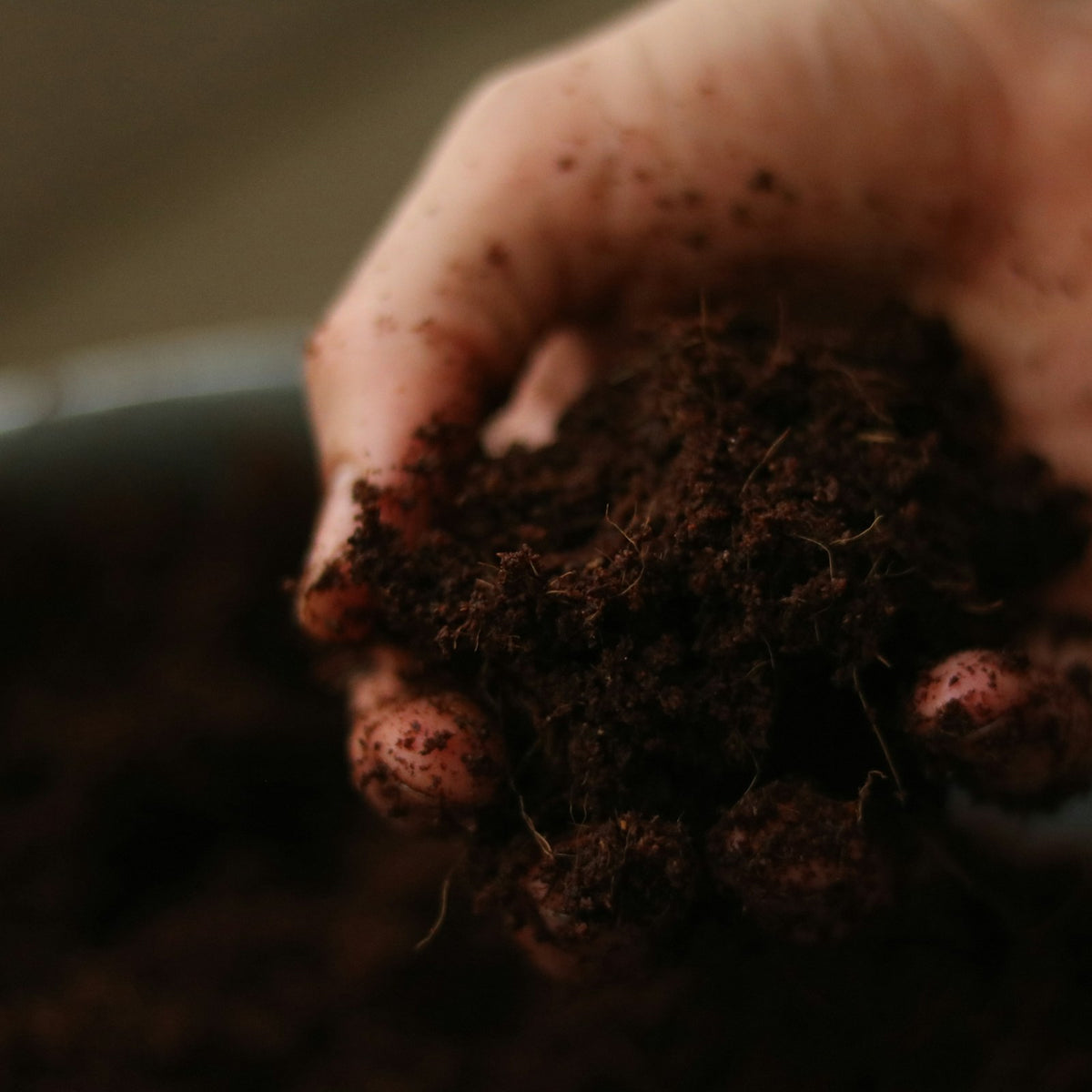 Potting Soil