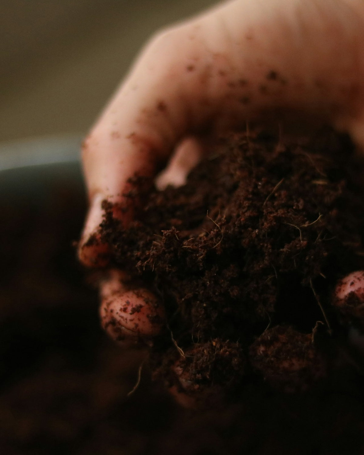 Potting Soil
