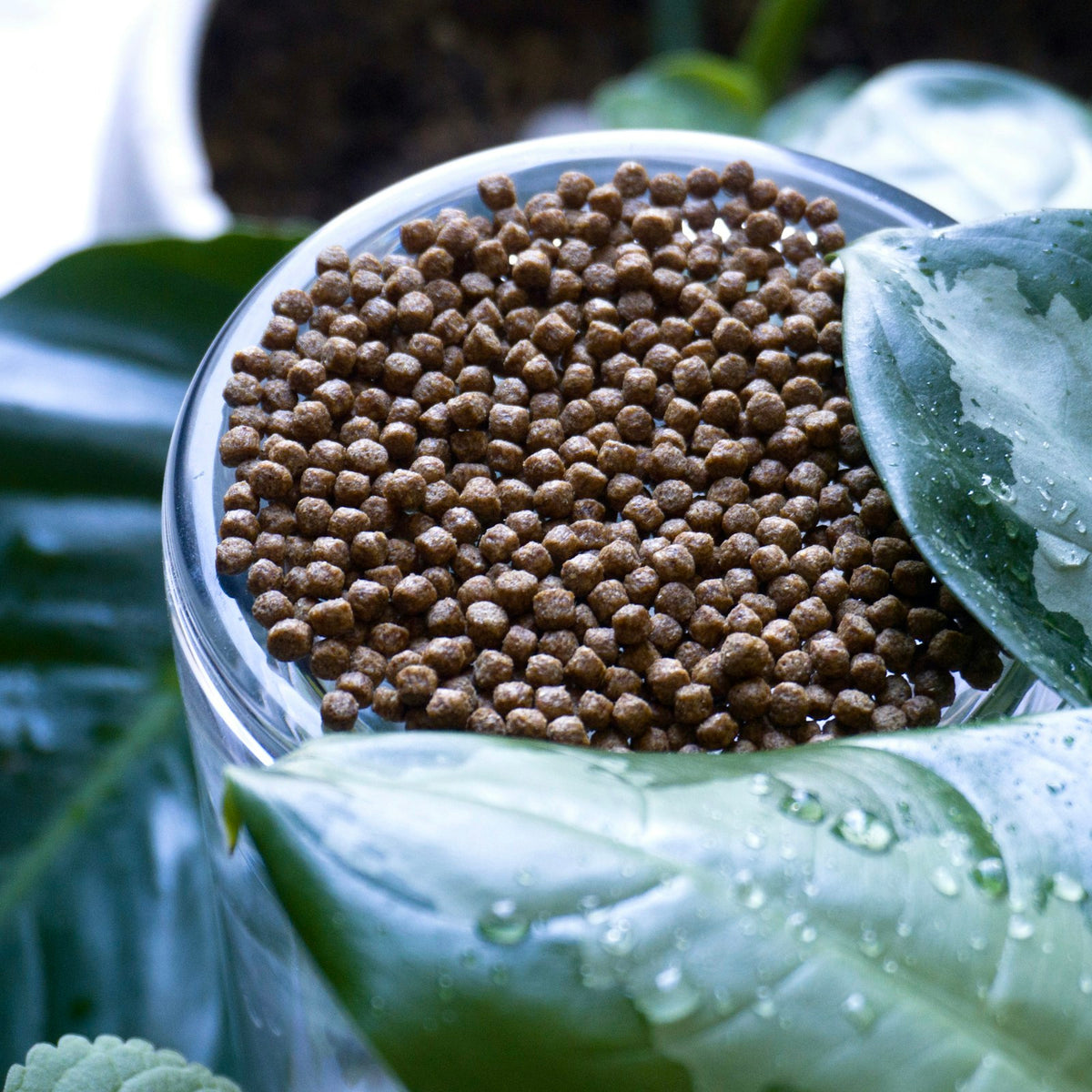 Fertilizers