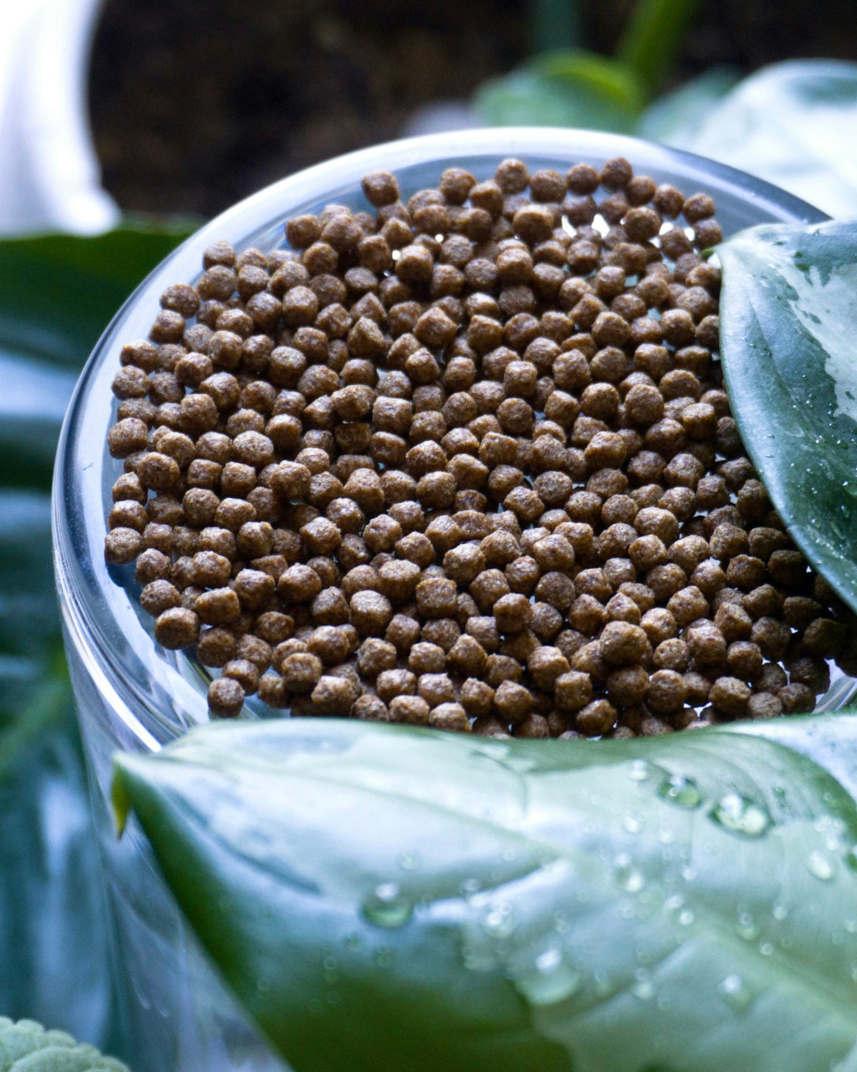 Fertilizers