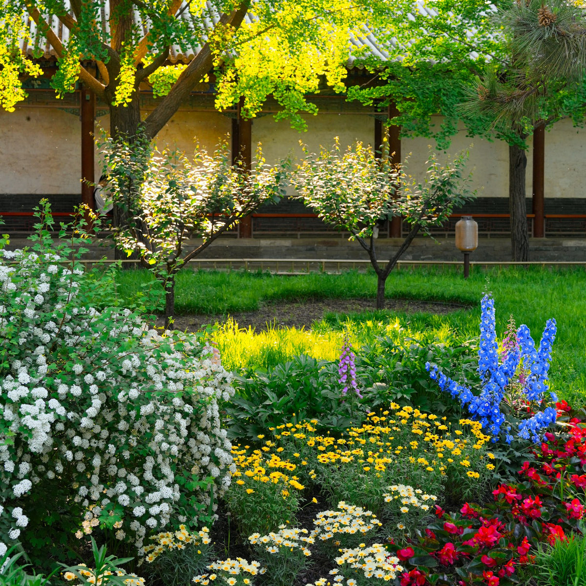 Flowering Plants