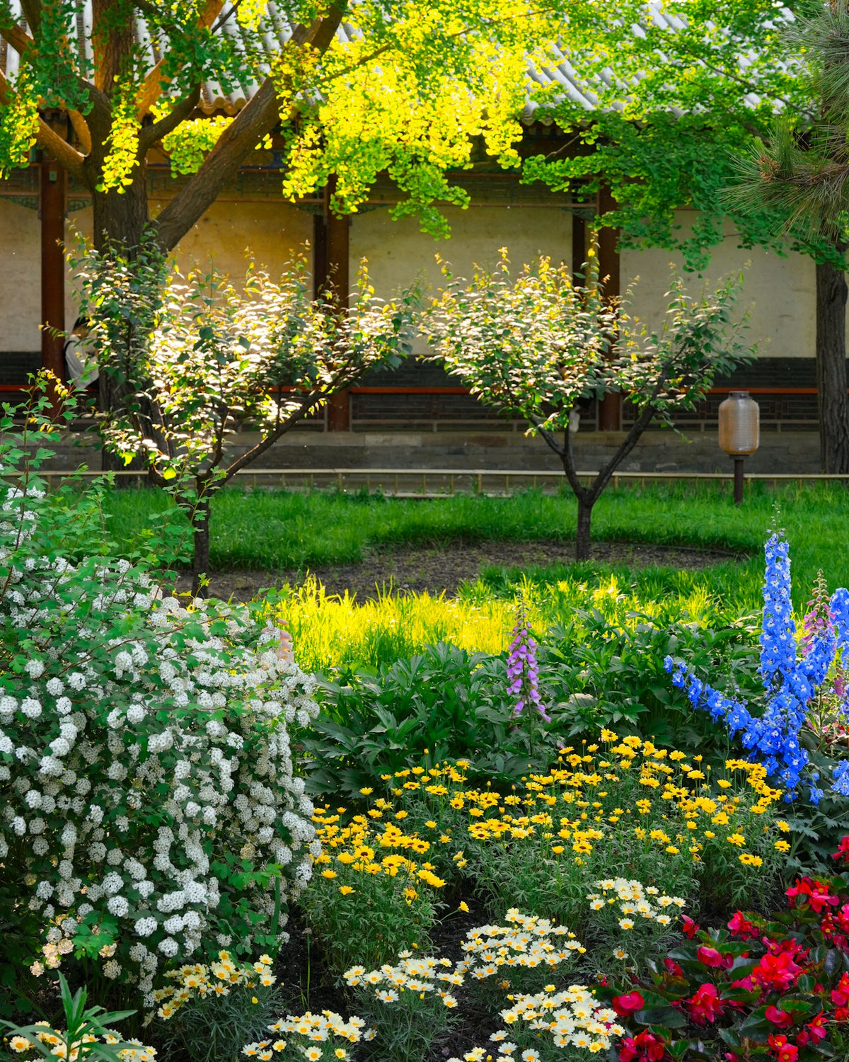 Flowering Plants