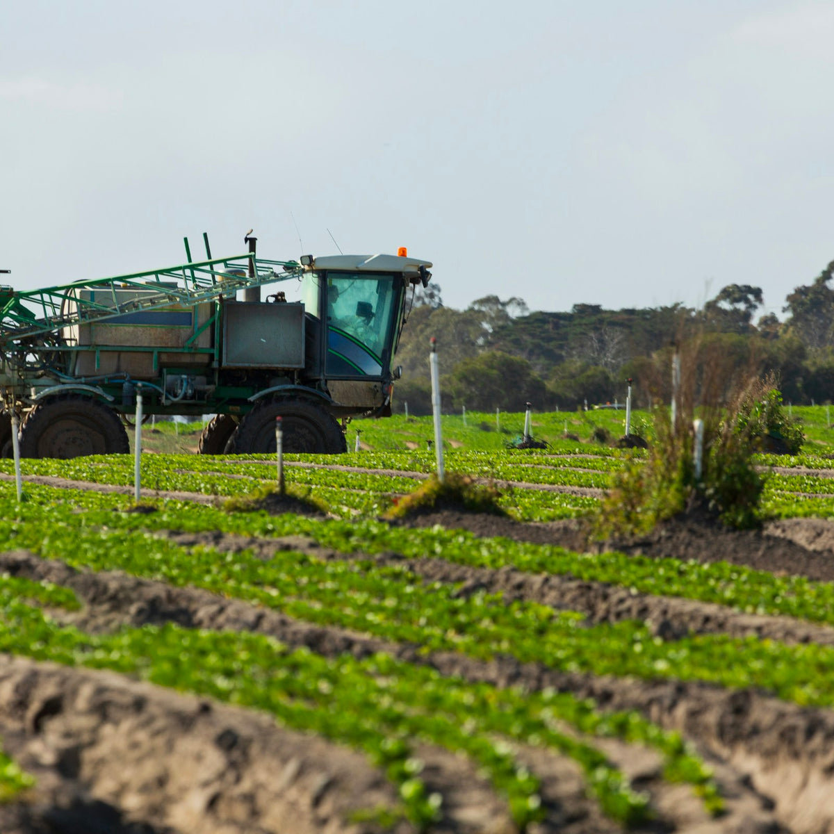 Herbicides
