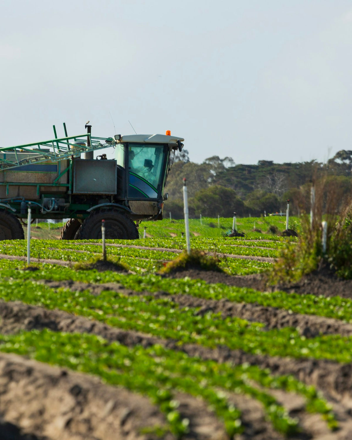 Herbicides