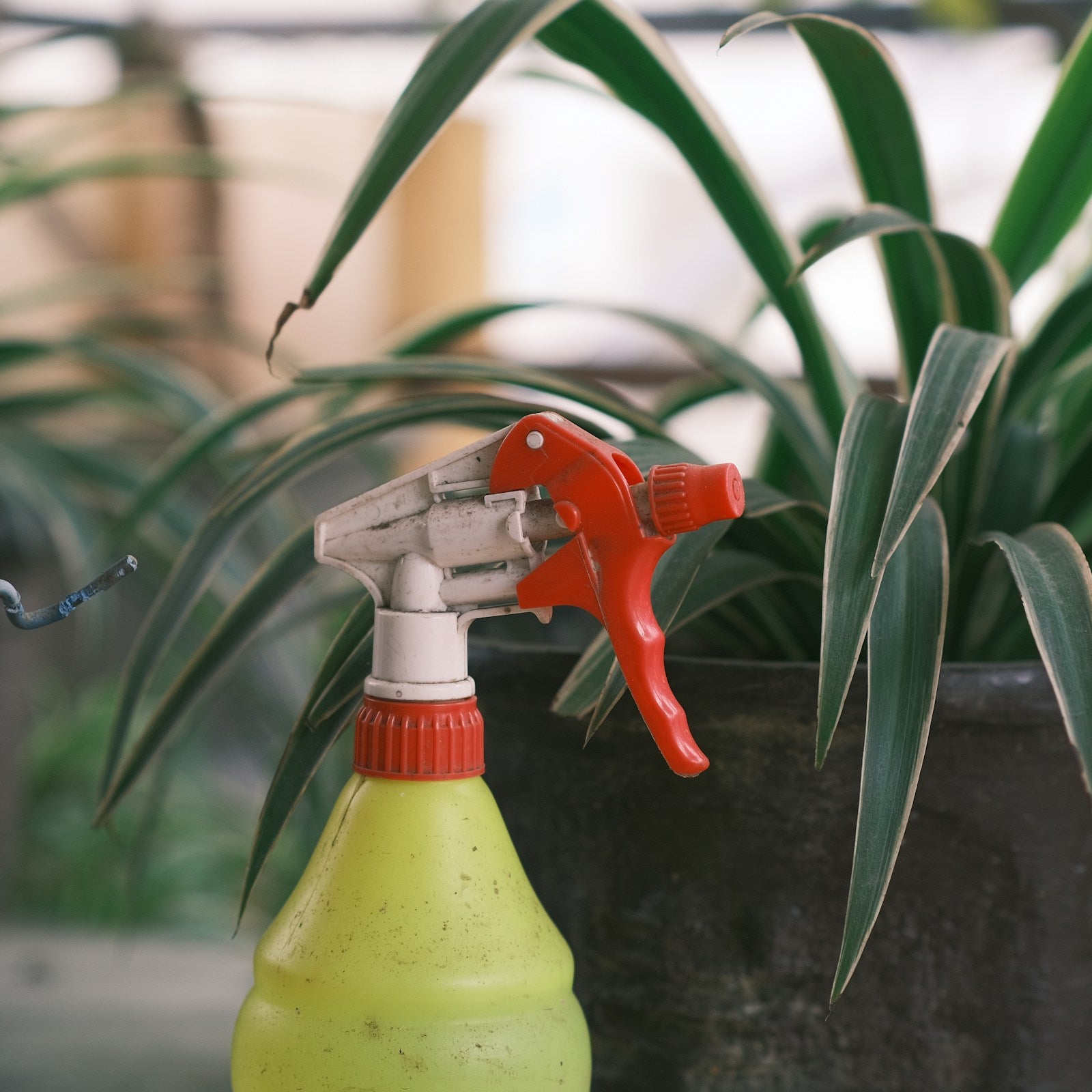 Karate Zeon 5 EC insecticide spray bottle on a plant