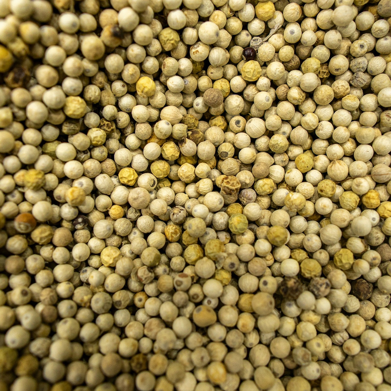 NPK 20-20-20 water soluble fertilizer granules